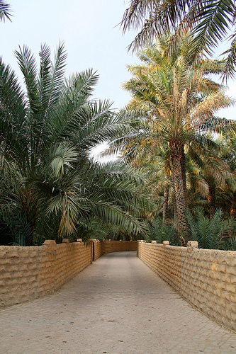 Fakultatív kirándulás a sivataggal körülvett Al Ain óázisba: